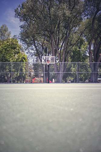 basketball court white portable basketball system under green tree team sport